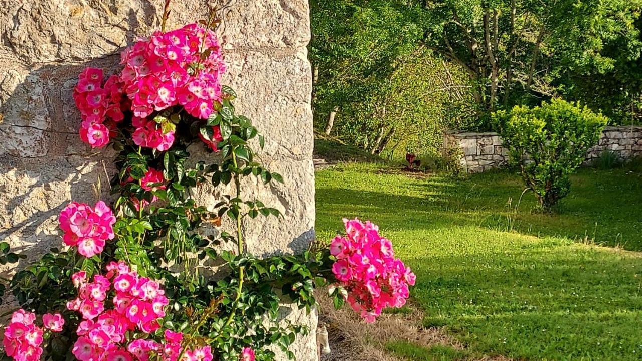 Manoir Le Moulinal47 - Vue Panoramique Ξενοδοχείο Courbiac Εξωτερικό φωτογραφία